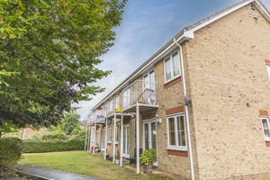 Rear of Property- click for photo gallery